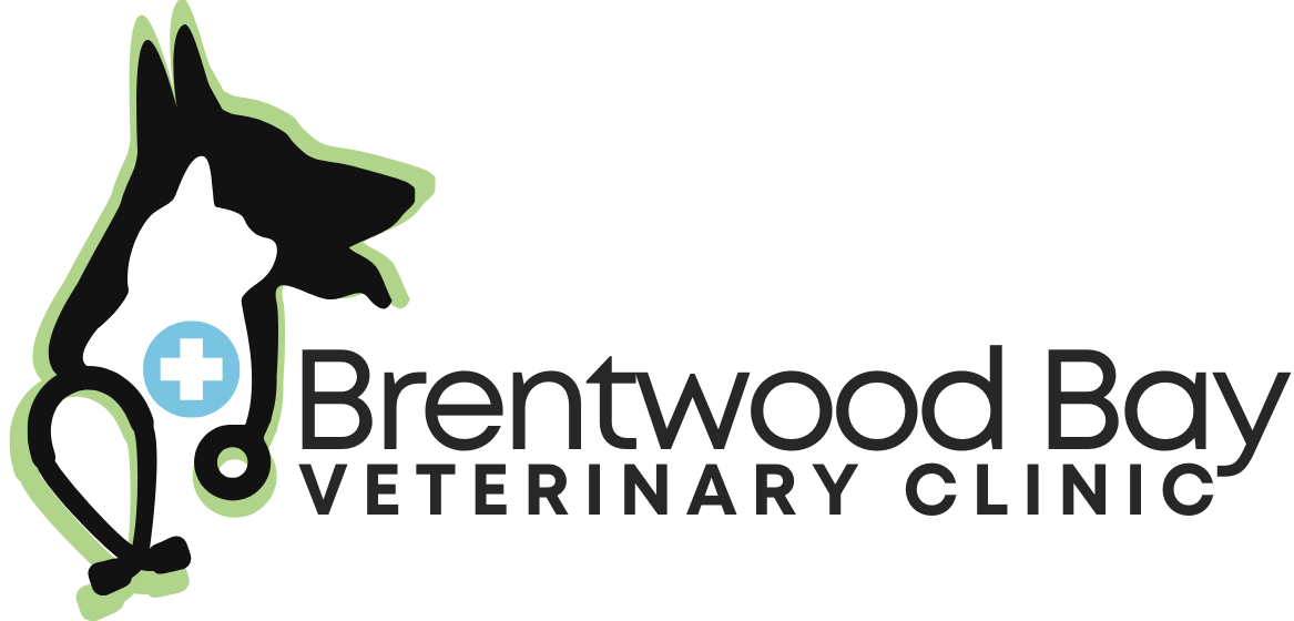 Brentwood Bay Vet